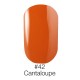 Гель лак 42 Cantaloupe Naomi 6ml