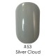 Гель лак 53 Silver Cloud Naomi 6ml