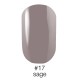 Гель лак 17 SAGE Naomi 6ml