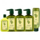 Olive Organics